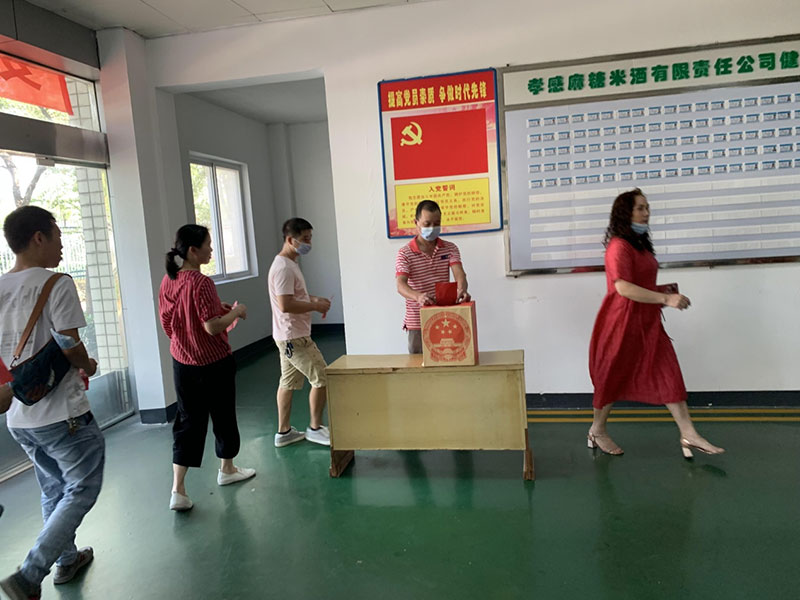 圓滿完成孝南區(qū)第七屆人大代表選舉工作