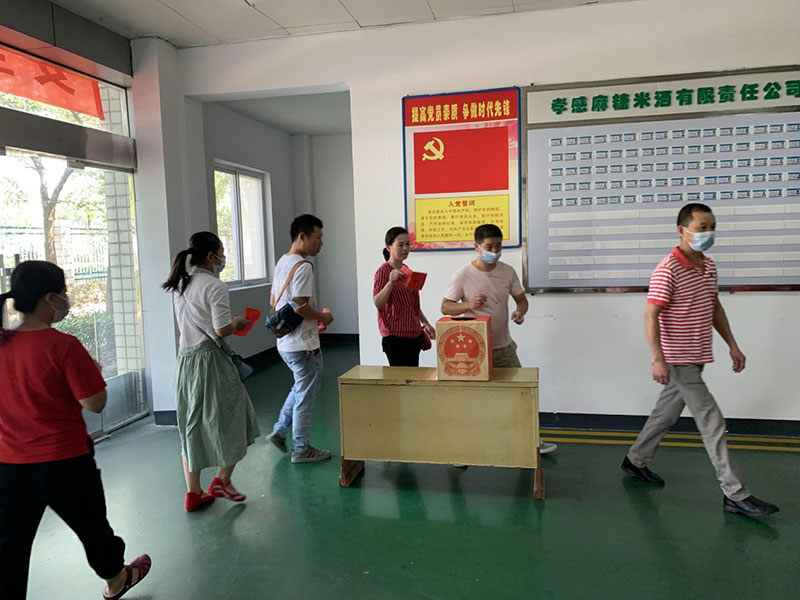 圓滿完成孝南區(qū)第七屆人大代表選舉工作